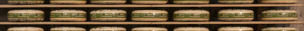 Alter Rotterdam Käse